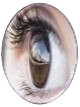 Eye Health Icon